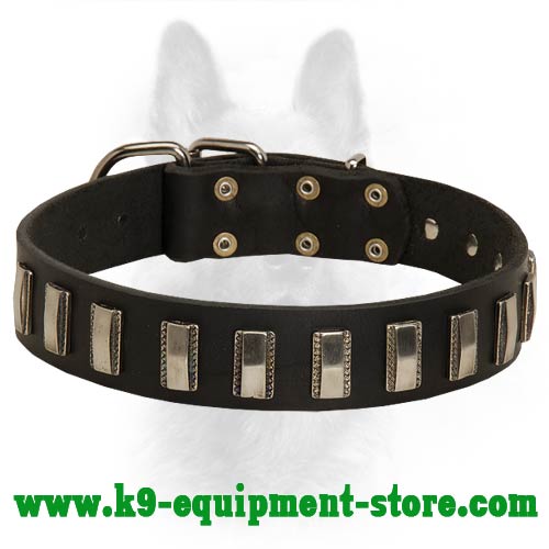Leather Canine Collar with Steel Nickel Plated Decoration