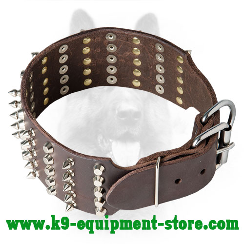 Canine Leather Collar with Adjustable Nickel Buckle and  D-ring