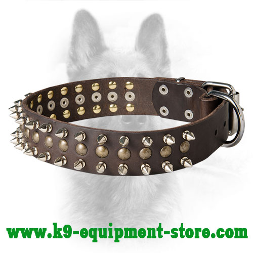 Leather K9 Collar with Nickel Spikes and Brass Half Ball Studs