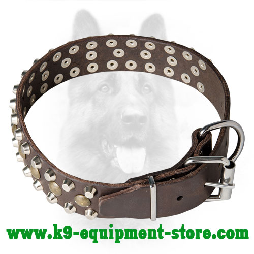 Leather K9 Collar with Firm Nickel Hardware