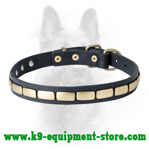 Canine Narrow Leather Collar with Riveted Plates