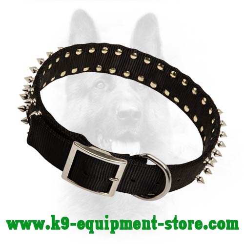 Nylon Dog Collar for K9 with Nickel Buckle and D-ring