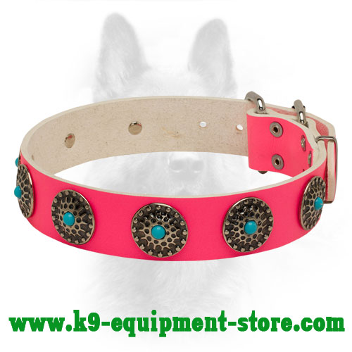 Pink Leather Collar for Canine Glamorous Walking