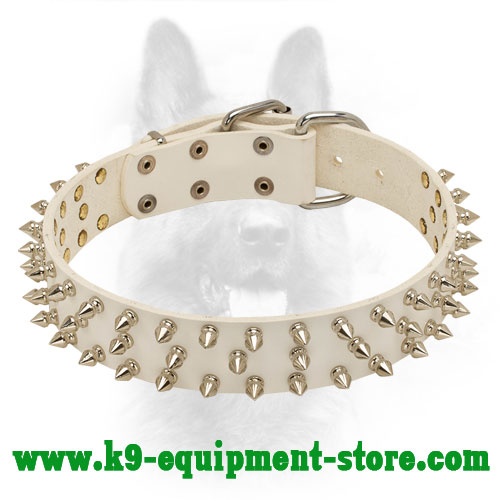 Spiked White Leather Collar for K9 Basic Training