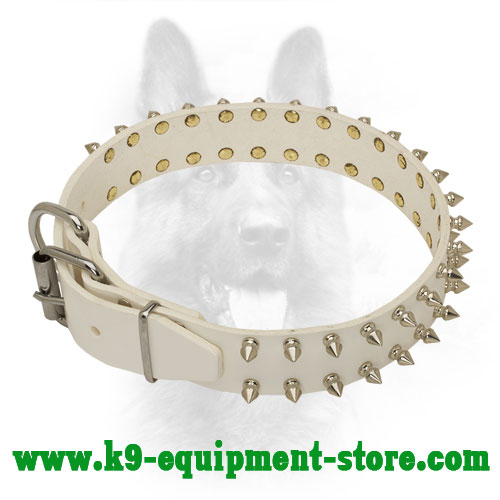 Police Dog White Leather Collar with Rust Resistant Hardware