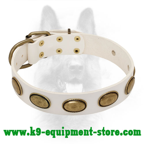 White Leather K9 Collar with Rust-proof Massive Plates