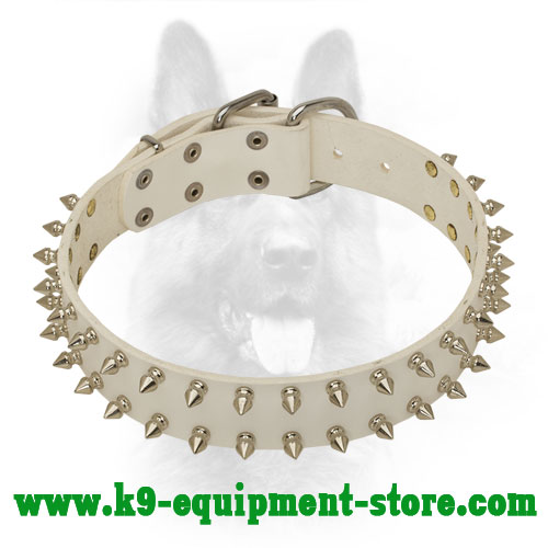White Leather Canine Collar with Nickel Spikes
