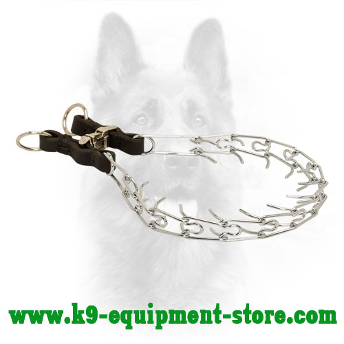 Chrome Plated Steel Canine Martingale Collar for Training
