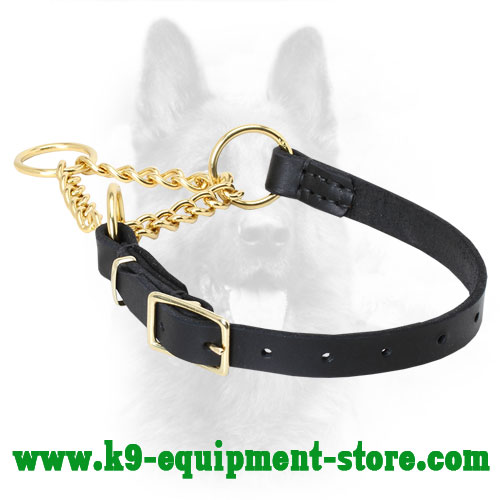 Canine Leather Martingale Collar with Brass Buckle