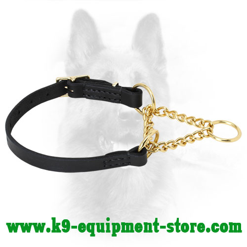 Canine Leather Martingale Collar for Improving Obedience