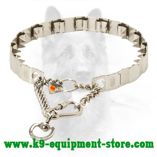 K9 Pinch Collar Stainless Steel