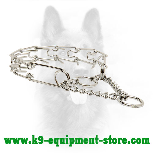 Canine Pinch Collar with 2 Chrome Plated Steel Rings