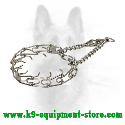 Canine Pinch Collar Made of Chrome Plated Steel