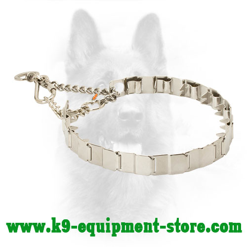 Neck Tech Pinch Collar for Canine Behavior Correction