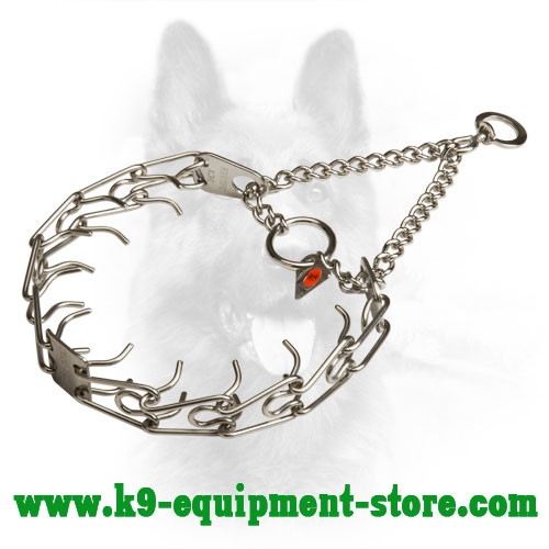 Stainless Steel Canine Pinch Collar for Obedience Training