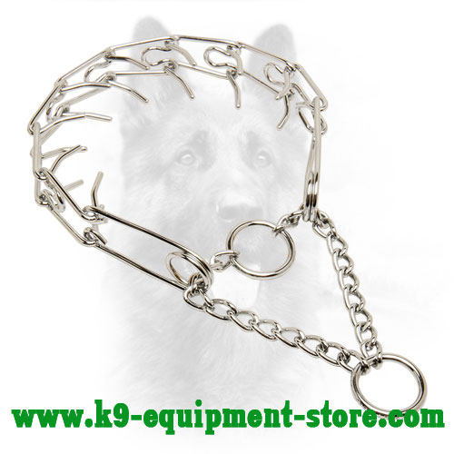 Canine Prong Collar with Chrome Plated Chain