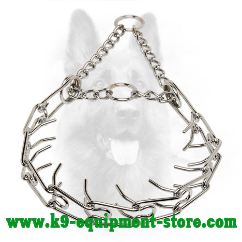Canine Steel Prong Collar with Chain and 2 Rings