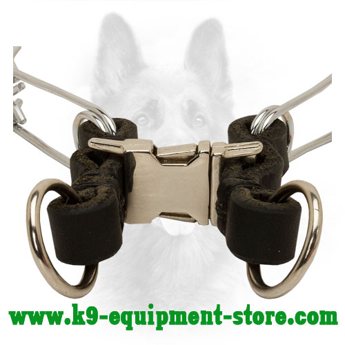 Steel Quick Release Buckle of Martingale Canine Collar