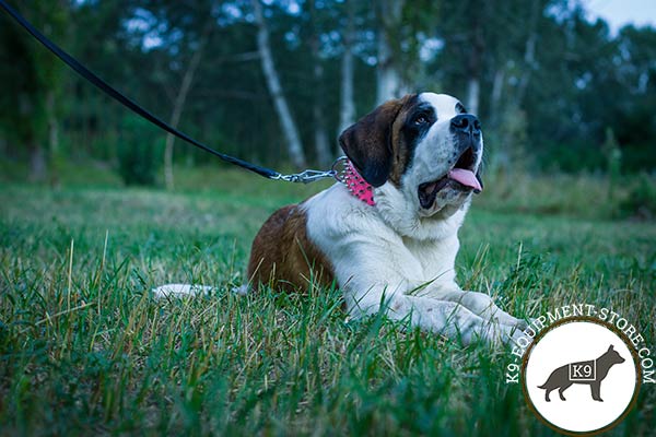 Comfy to wear Russian Watchdog genuine leather collar