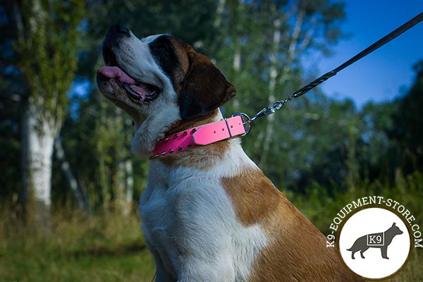 Pink Russian Watchdog collar