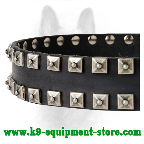 Square Studs on Walking in Style Leather K9 Collar