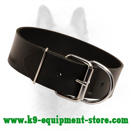 Wide K9 Leather Dog Collar With Rust-proof Buckle and D-ring