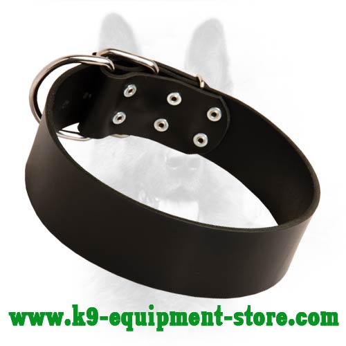 Wide Leather Canine Dog Collar for Obedience Training