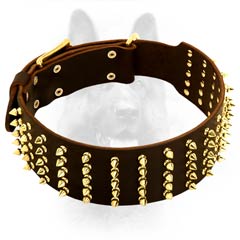 Wide Leather Canine Dog Collar With Brass Fittings