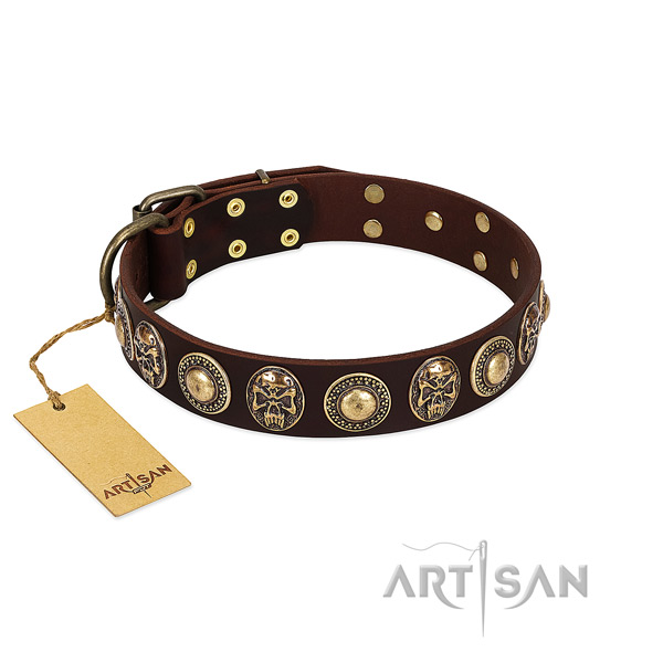 Significant leather dog collar for handy use