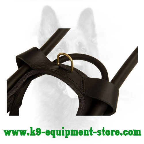 Brass D-ring on Leather Dog Harness For Fast Lead Connection