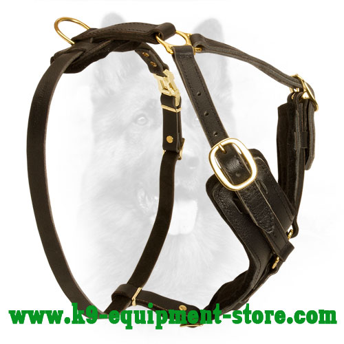 Leather Canine Harness with Brass D-ring for Leash Attachment