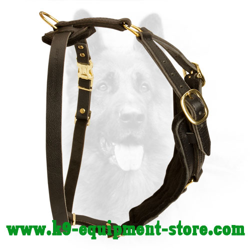 Leather Harness for Canine with Back Plate for Comfy Walking