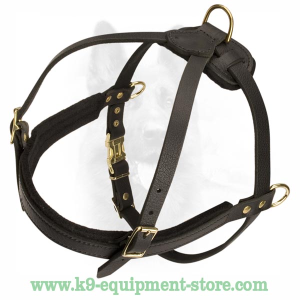 Easily Adjustable In 3 Ways K9 Leather Dog Harness