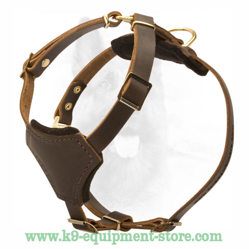 leather dog harness