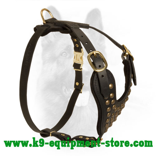 Leather Harness for K9 Walking in Style