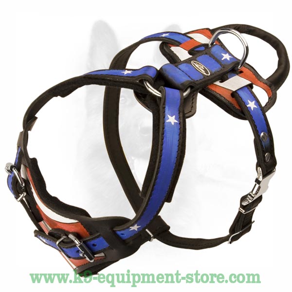 Practical Leather Harness For K9 Dog