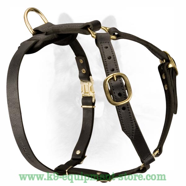 Dog Harness With Massive Brass Ring For Leash Attachment