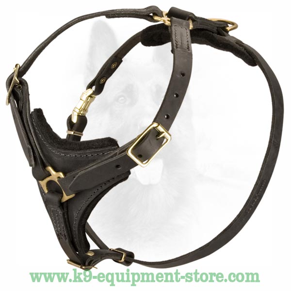 Soft Felt Padded Dog Harness For Extra Comfort