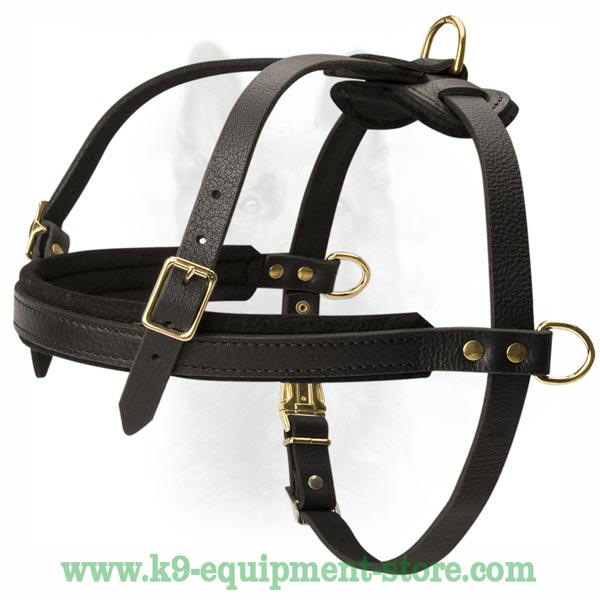 Rust Resistant K9 Leather Dog Harness