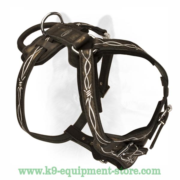 High-Quality Natural Leather Dog Harness For K9