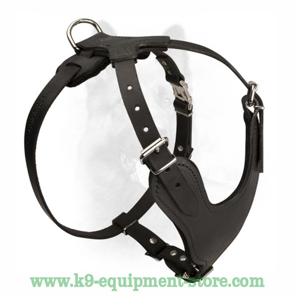 Dog Harness With Rust And Corrode Resistant Fittings