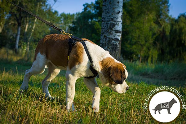 Moscow Watchdog black leather harness of genuine materials with d-ring for leash attachment for improved control