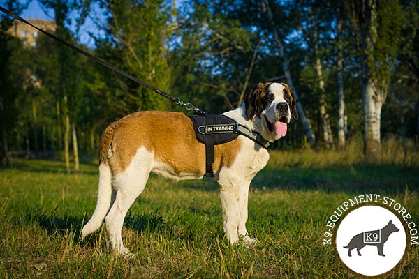 Moscow Watchdog nylon harness   