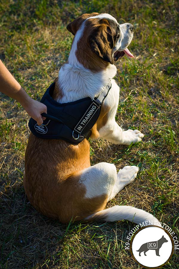 Moscow Watchdog nylon harness   