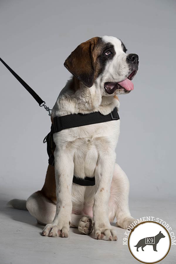 Moscow Watchdog nylon harness of classic design with d-ring for leash attachment for basic training