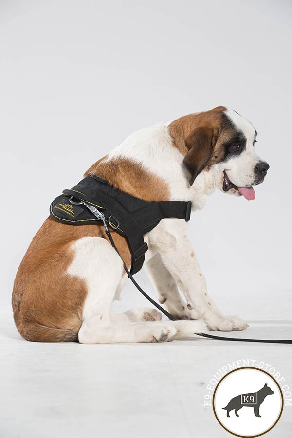 Moscow Watchdog nylon harness with reliable hardware for daily activity