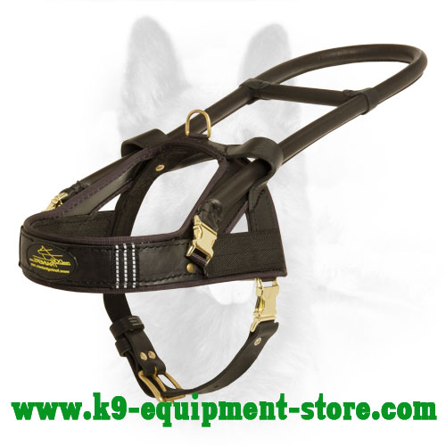 Canine Dog Harness Made of Natural Leather