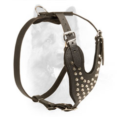 Leather Police Dog Harness with Comfy Chest and Back Plates