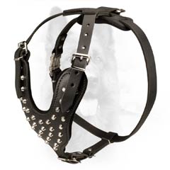 Canine Leather Dog Harness Studded