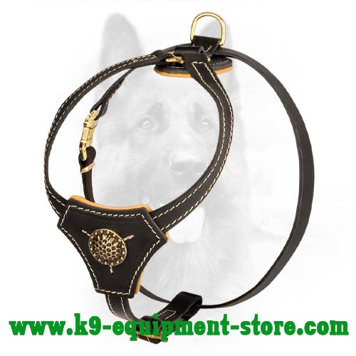 Leather Dog Harness for K9 Puppy Successful Walking and Training